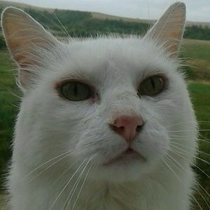 Meet your Posher, Anya